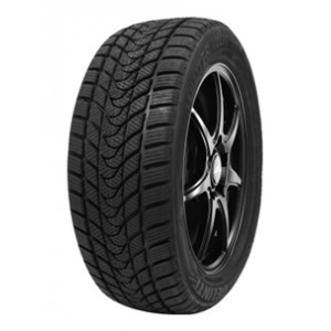 DELINTE 205/60 R16 96H XL WD1