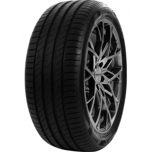 DELINTE 225/55 ZR18 TL 102W DELINTE DS2 SUV XL