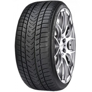 GRIPMAX 315/30 R21 105V XL PRO WINTER
